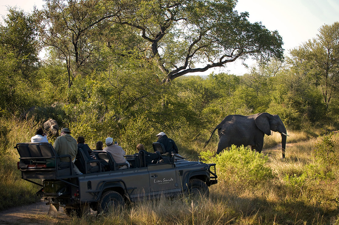 The Lion Sands Game Reserve: discover the African outdoors